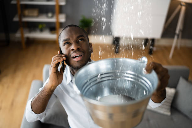 Best Local water damage restoration  in Clay City, KY