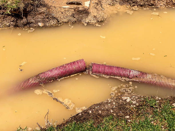 Best 24-hour water damage restoration  in Clay City, KY